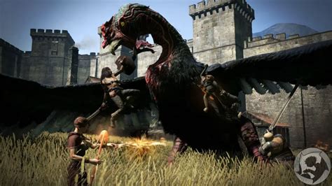 dragon's dogma a lost cause.